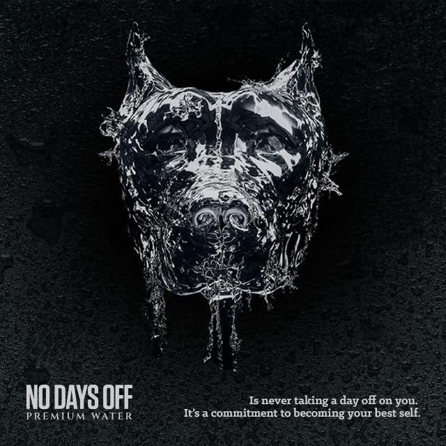 NO DAYS OFF Premium Water+ | Limited FREEDOM Edition (16oz Still (Pack of 12))