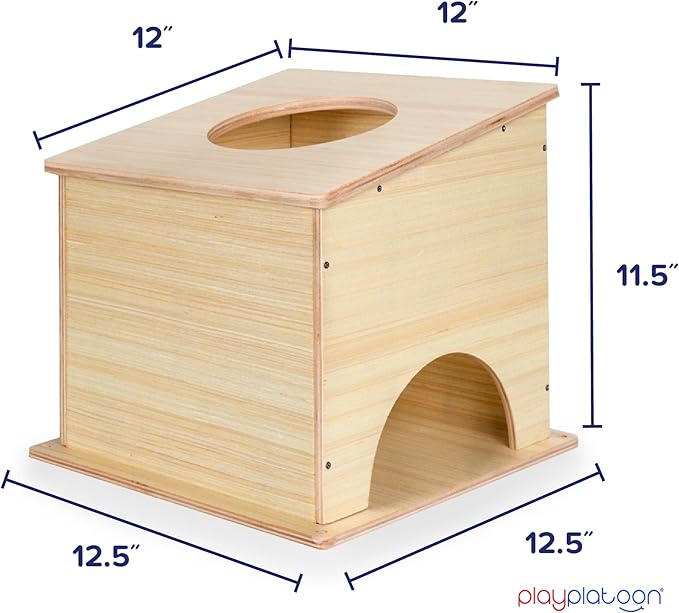 Play Platoon Cornhole Airmail Box - Set of 2 - Perfect for Practice - Competitive Cornhole Player Bag Toss Training, Prepare for Professional Games - Board only, Bags not Included