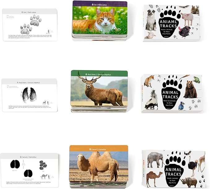 MEROCO Safari Animal Tracks Card Game, Farm Animal Flash Cards, Matching Game - Kids Science Learning Educational Toys for Homeschool, Preschool, Autism - 3 Years Old & Up