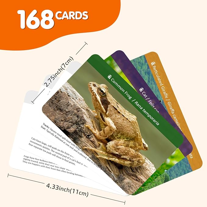 MEROCO Safari Animal Tracks Card Game, Farm Animal Flash Cards, Matching Game - Kids Science Learning Educational Toys for Homeschool, Preschool, Autism - 3 Years Old & Up