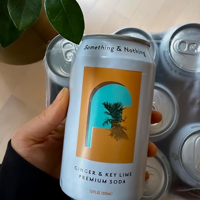 Something & Nothing Ginger & Lime Flavoured Sparkling Water | Lightly Carbonated, Full Flavoured with Added Grape & Lemon Juice | Vegan & Low Calorie Soda | 12 Fl Oz Cans (Pack of 12)