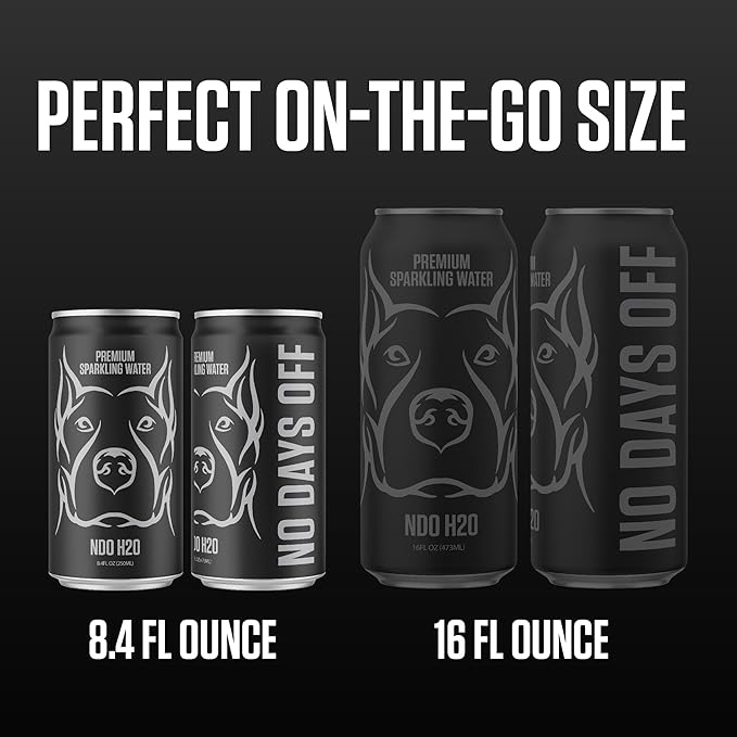 NDO H2O Premium Purified Water Case - 24 Pack (8.4 fl oz, Sparkling) | Reverse Osmosis Canned Water | Tested for Over 400 Impurities | Purified, Carbonated & Balanced | Alkaline & Minerals