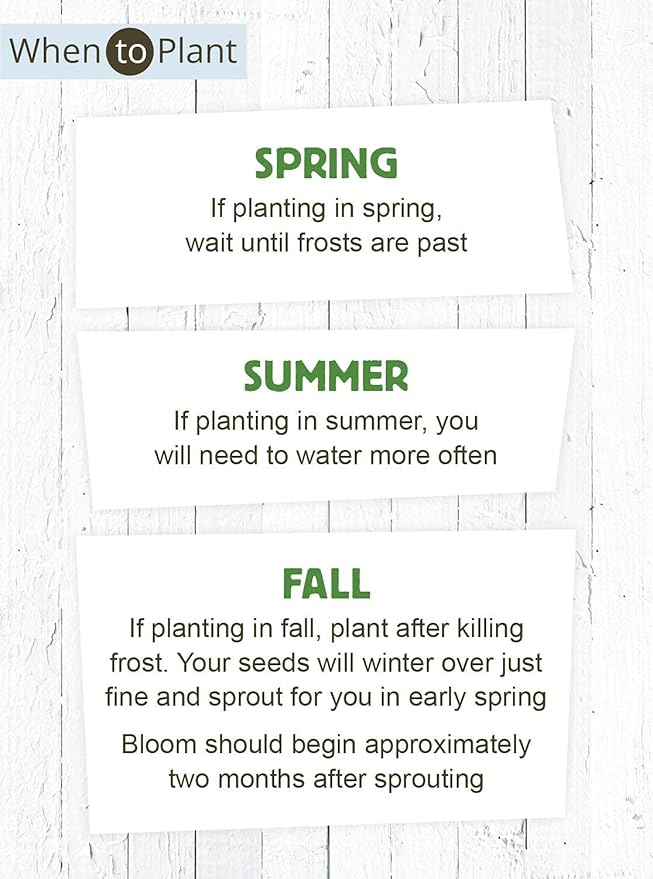 American Meadows Wildflower Seed Packets "Thank You Bunches" Party Favors (Pack of 20) - Express Gratitude with a Wildflower Seed Mix, Great Addition or Alternative to Thank You Cards