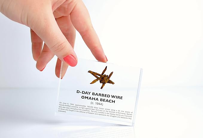 World War II Barbed Wire Artifact Display – Authentic Historical Collectible Memorabilia, WWII Relic, Ideal for Military History Enthusiasts, Vintage Era Display