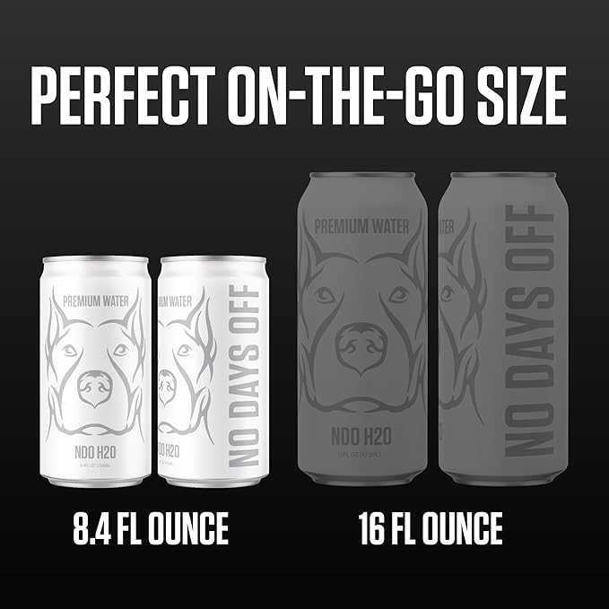 NDO H2O Premium Alkaline Water Case - 24 Pack (8.4 fl oz, Still) | Reverse Osmosis Purified Canned Water | Tested for Over 400 Impurities | pH 8.1 Balanced | Electrolytes & Minerals