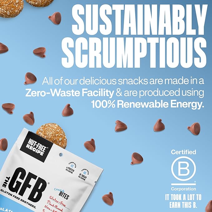 The Gluten Free Brothers Chocolate Chip Cookie Dough Nut Free Bites - Allergen Friendly, Gluten Free, Soy Free Protein Balls – Plant Based Vegan Non-GMO Snack Size Protein Energy Balls, 4 oz (6 Count)