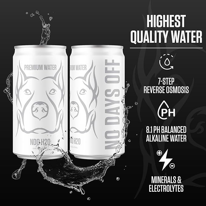 NDO H2O Premium Alkaline Water Case - 24 Pack (8.4 fl oz, Still) | Reverse Osmosis Purified Canned Water | Tested for Over 400 Impurities | pH 8.1 Balanced | Electrolytes & Minerals