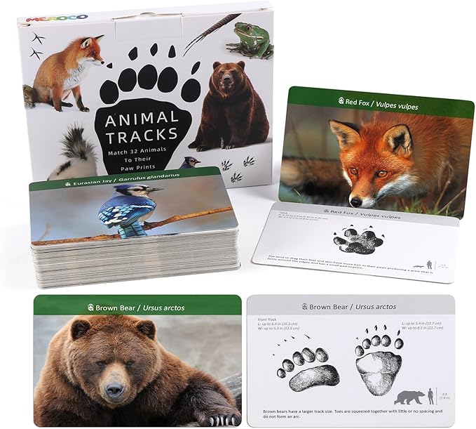 MEROCO Forest Animals Tracks Cards for Kids,Animal Tracks Matching Game Flash Cards,Homeschool Animal Games Kids Learning Educational Toys Preschool Autism Learning Materials