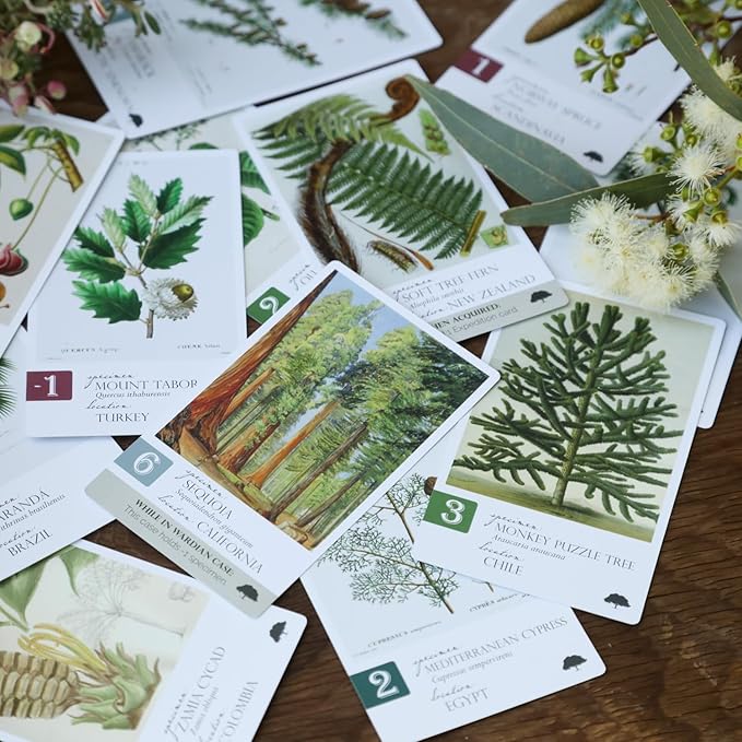 Botany: Tantalizing Trees Expansion | Family Strategy Game for Young Botanists and Adults | Ages 8+ | for 1-5 Players | Average Playtime 45-90 mins | Perfect for Family Game Night