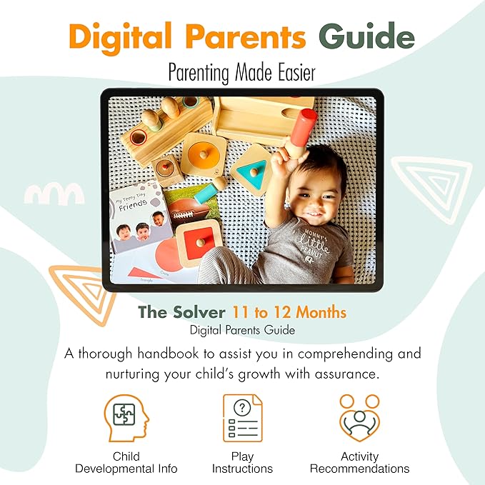 Montessori Toy Set 11-12 Months Baby Toys- 1 Year Birthday Gift, Push Ball, Shape Puzzle, Popup Toy, Pincer Grasp, Diversity Board Book, Picture Cards, Brain Development Toddler Toy