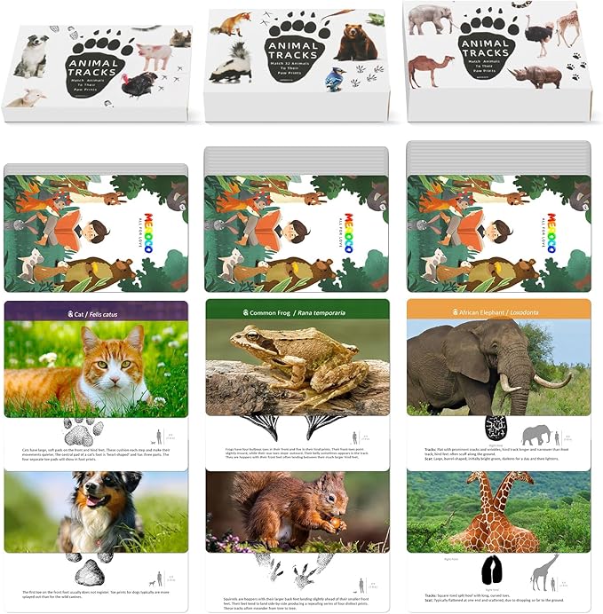 MEROCO Safari Animal Tracks Card Game, Farm Animal Flash Cards, Matching Game - Kids Science Learning Educational Toys for Homeschool, Preschool, Autism - 3 Years Old & Up
