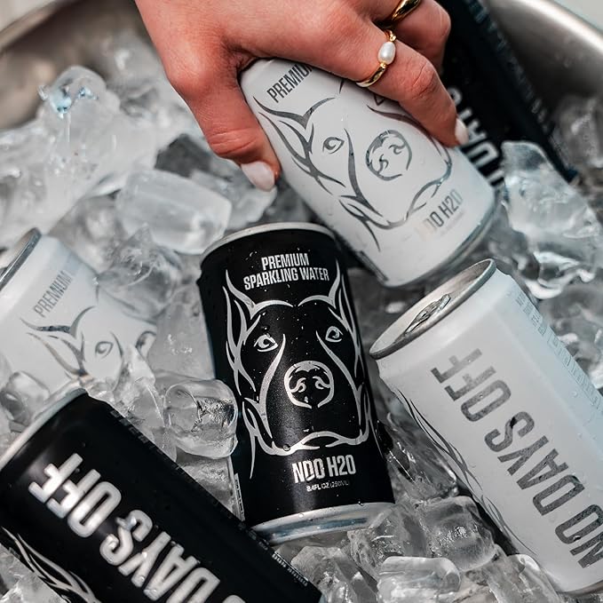 NDO H2O Premium Alkaline Water Case - 24 Pack (8.4 fl oz, Still) | Reverse Osmosis Purified Canned Water | Tested for Over 400 Impurities | pH 8.1 Balanced | Electrolytes & Minerals