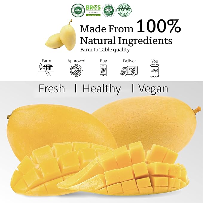 Vinamit Air Dried Mango | Naturally Sweet Mango Slices | 3.5 oz Bag | Vegan, Non-GMO, Gluten-Free & Low Added Sugar | Rich in Potassium | Ideal for Travel, Healthy Snacking