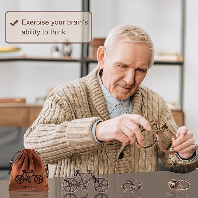 12 PCS Brain Teaser Puzzles Metal Puzzle Logic Metal Puzzle for Adult Lock Puzzles Gift for Adults Teenagers Kids