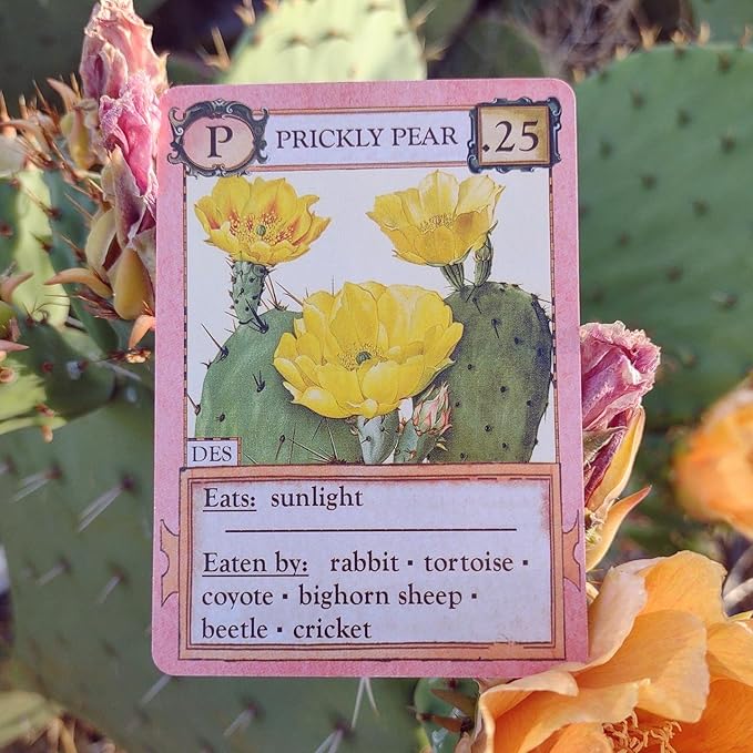 Ecologies Card Game - Use Science to Build Food Webs in 7 Biomes - Beautiful Vintage Nature Art for The Classroom or Game Night