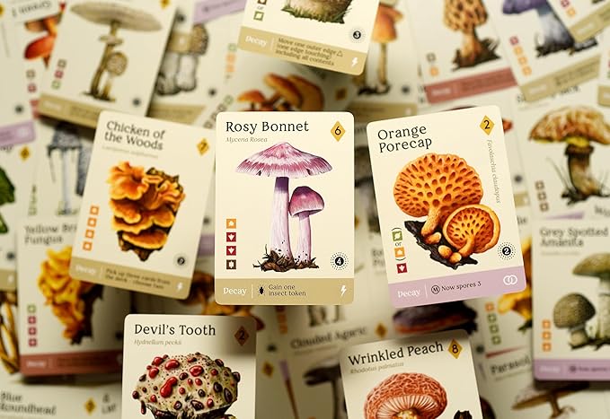 Mycelia by KTBG – Tile Placement & Pattern Matching Board Game – Solo or Multiplayer Gameplay – Grow a Fungi and Mushroom Kingdom – Ages 14+, 1 to 4 Players, 50 Min Playtime