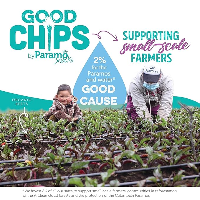 Good Chips Baked Crunchy Apple, Pineapple, Sweet Plantain - Crispy, Oil Free, Healthy, Naturally Sweet Dried Fruit Snacks Variety Pack - Pack of 8