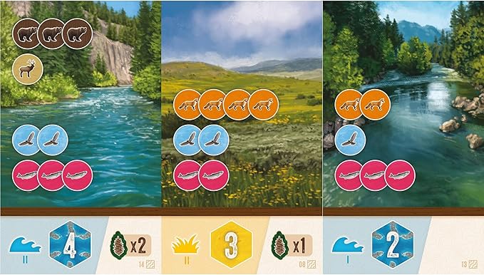 AEG & Flatout Games | Cascadia:Rolling Rivers Roll & Write Puzzly Dice Game | Explore The Pacific Northwest, Build Ecosystems | Ages 10+ | 1-4 Players