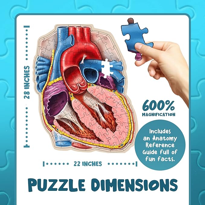 Genius Games Doctor Livingston Jr Anatomy Puzzle - Human Heart Model - 100 Piece Jigsaw for Kids & Teens
