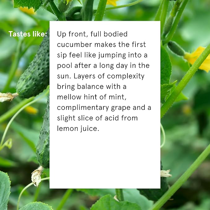 Something & Nothing Flavoured Sparkling Water - Lightly Carbonated, Full Flavoured with Added Grape & Lemon Juice | Vegan & Low Calorie Soda | 355ml Cans, Pack of 12 (Cucumber)