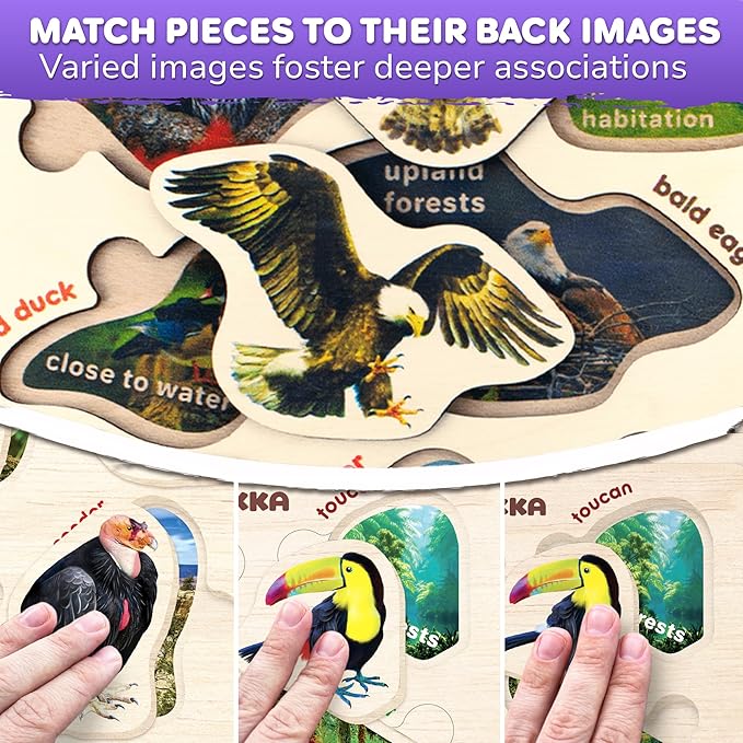 QUOKKA Wooden Puzzles for Toddlers 1-3 – 3xSET Kids Puzzles Ages 2-4 – Montessori Toy Puzzle for Toddlers 3-5 – Wood Toy Learning Realistic Insects - Arctic Animals - Birds for Boy and Girl