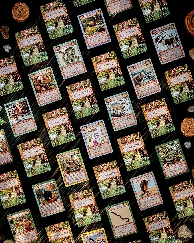 Ecologies Card Game - Use Science to Build Food Webs in 7 Biomes - Beautiful Vintage Nature Art for The Classroom or Game Night