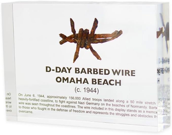 World War II Barbed Wire Artifact Display – Authentic Historical Collectible Memorabilia, WWII Relic, Ideal for Military History Enthusiasts, Vintage Era Display