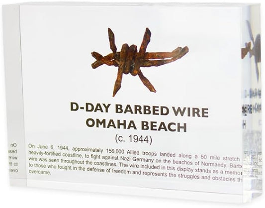 World War II Barbed Wire Artifact Display – Authentic Historical Collectible Memorabilia, WWII Relic, Ideal for Military History Enthusiasts, Vintage Era Display