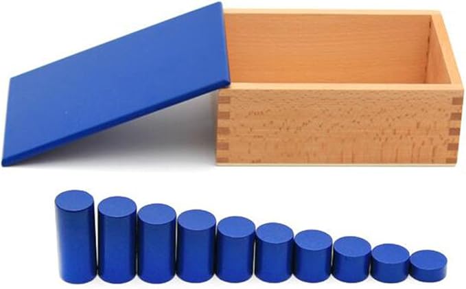 YHZAN Montessori Sensorial Material Knobless Cylinders Kids Wooden Toy (Set of 4) Early Development Tool for Toddlers Wooden Blocks