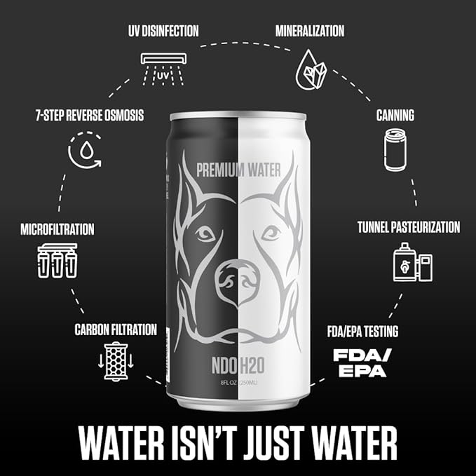 NDO H2O Premium Alkaline Water Case - 24 Pack (8.4 fl oz, Still) | Reverse Osmosis Purified Canned Water | Tested for Over 400 Impurities | pH 8.1 Balanced | Electrolytes & Minerals