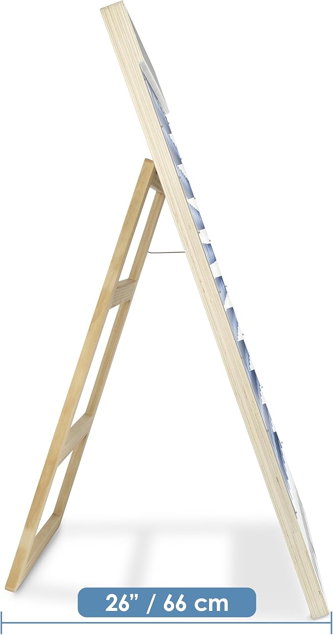 Extra Large Prize Drop Disc Game Wood 41.3" x 23.6" with Chalkboards Carnival Game Trade Show (Includes Plastic Cover)