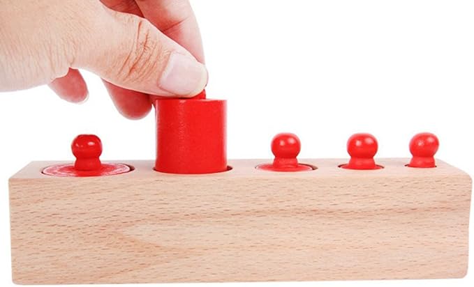 New Sky Enterprises Montessori Colored Knobless Cylinders with Fitted Container Socket Kids Wooden Blocks Shape & Color Recognition Material Toys (knobless cylinders)