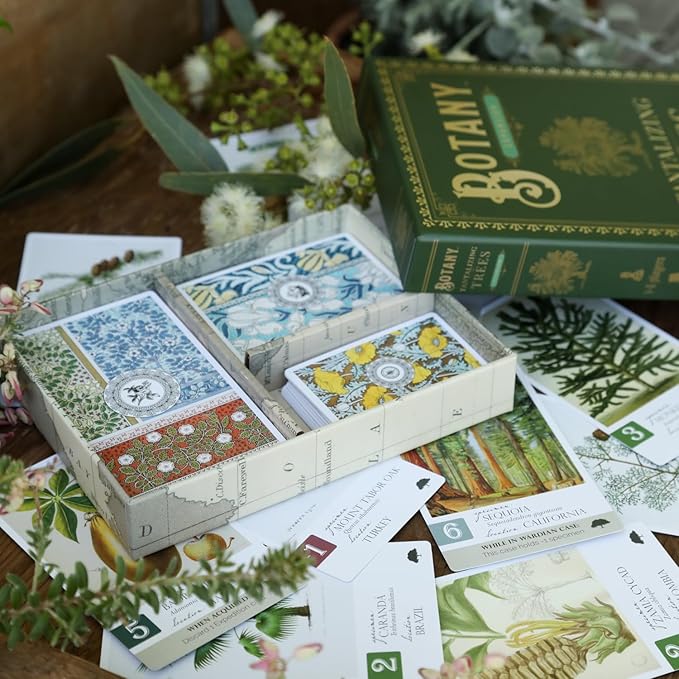 Botany: Tantalizing Trees Expansion | Family Strategy Game for Young Botanists and Adults | Ages 8+ | for 1-5 Players | Average Playtime 45-90 mins | Perfect for Family Game Night