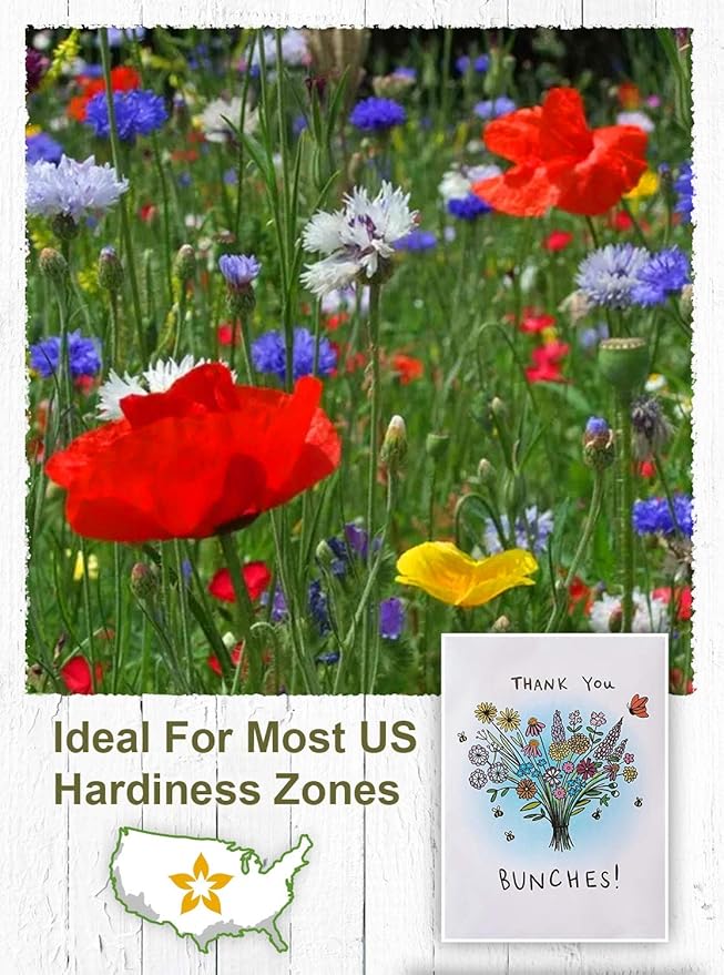 American Meadows Wildflower Seed Packets "Thank You Bunches" Party Favors (Pack of 20) - Express Gratitude with a Wildflower Seed Mix, Great Addition or Alternative to Thank You Cards