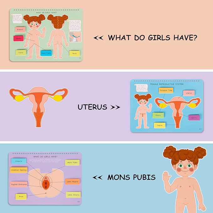 Freebear Montessori Busy Book for Kids, Human Body Anatomy Book for Toddlers, Preshool Kindergarten Learning Activities, Autism Sensory Toys, Gifts for Girls and Boys 4-7 Years- Human Body Procreation