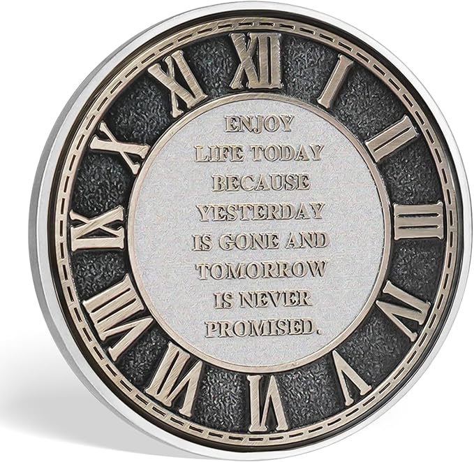 Memento Mori Coin Momento Mori Coin Skull Coin Stoic Gifts Memento Mori Calendar Living Memento Mori Amor Fati Coin (Twilight Raven Skeleton)