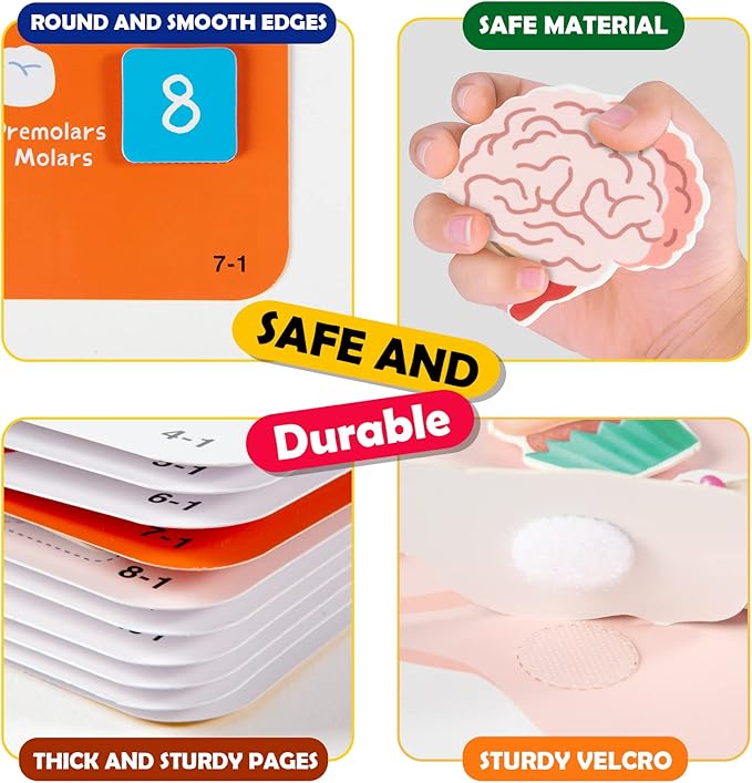 Freebear Montessori Busy Book for Kids, Human Body Anatomy Book for Toddlers, Preshool Kindergarten Learning Activities, Autism Sensory Toys, Travel Toys, Gifts for Girls and Boys 4 5 6 7 8 Years