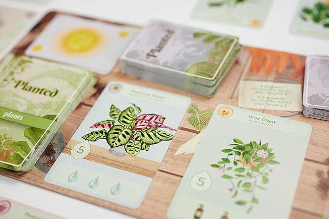 Buffalo Games - Planted