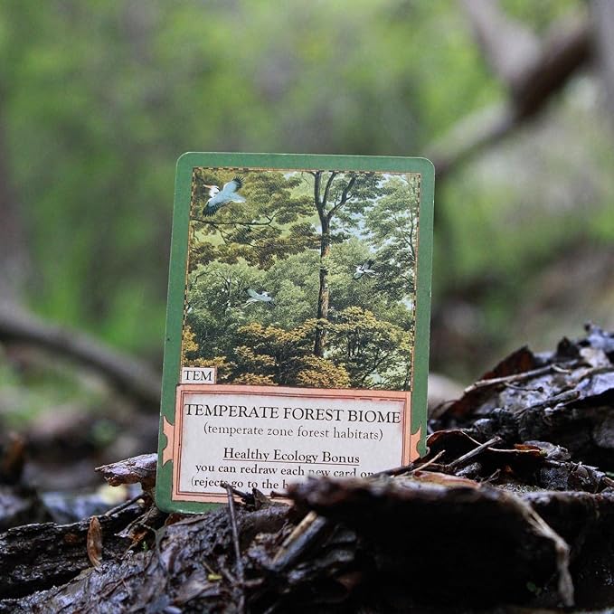 Ecologies Card Game - Use Science to Build Food Webs in 7 Biomes - Beautiful Vintage Nature Art for The Classroom or Game Night