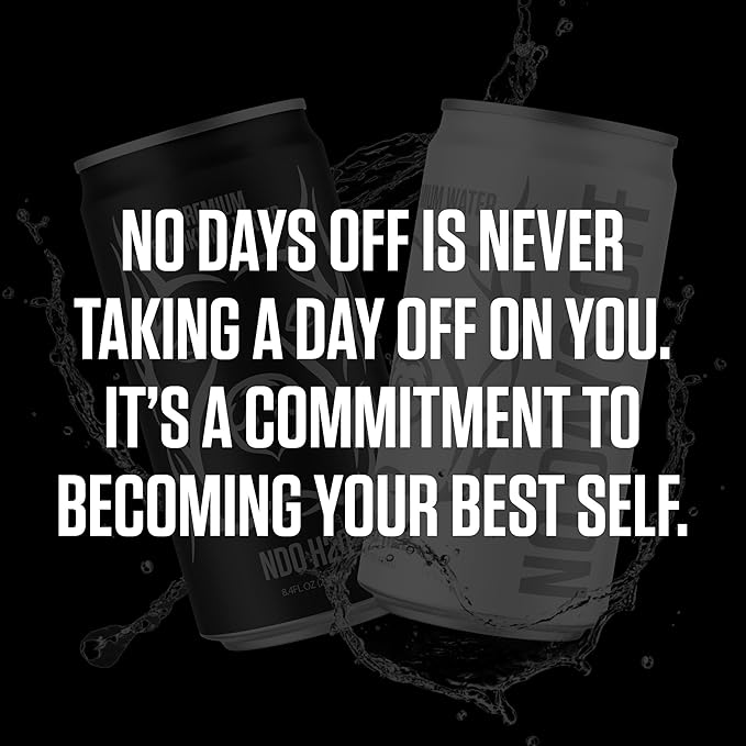 NDO H2O Premium Alkaline Water Case - 24 Pack (8.4 fl oz, Still) | Reverse Osmosis Purified Canned Water | Tested for Over 400 Impurities | pH 8.1 Balanced | Electrolytes & Minerals