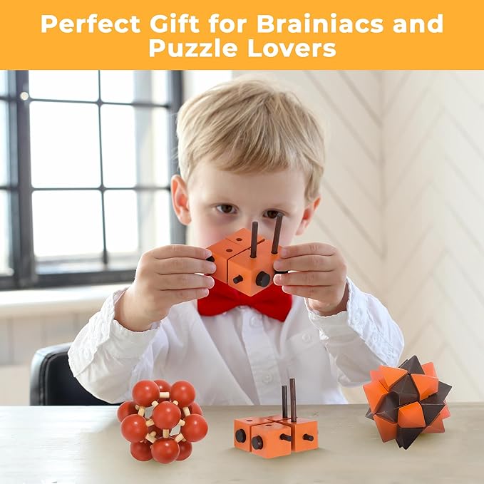 Sharp Brain Zone Teaser Puzzle 3Pcs