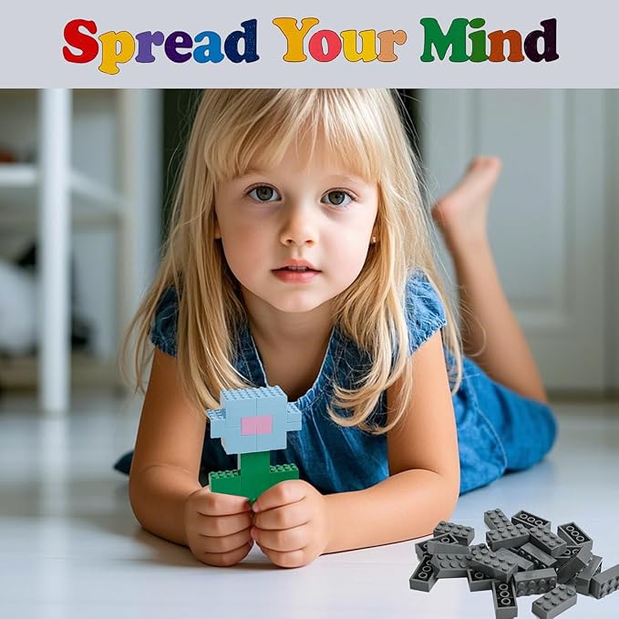 500 Piece Classic Building Bricks and 1 Gray Baseplate, 2x4 Bricks Bulk Creative Building Toys, Blocks Bulk for Kids Ages 6+, Dark Gray