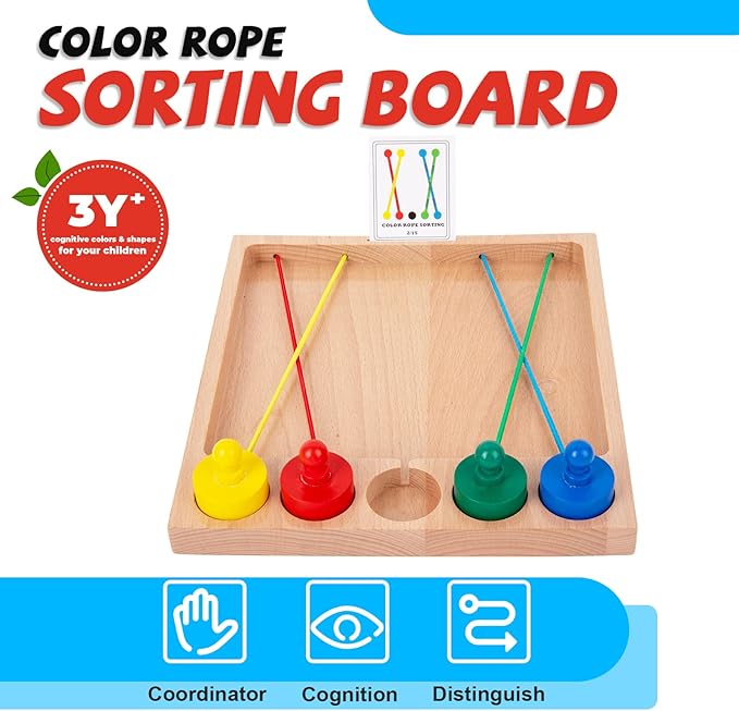 Wooden Color Sorting Game for 3 4 5 Year Olds-Occupational Therapy Toys for Kids,Brain Teasers Toys Logic Game,Develop Cognitive Skills and Fine Motor Abilities for Boys and Girls