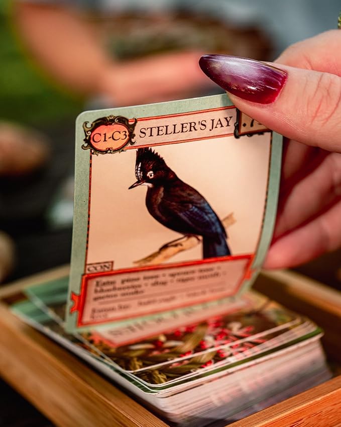 Ecologies Card Game - Use Science to Build Food Webs in 7 Biomes - Beautiful Vintage Nature Art for The Classroom or Game Night