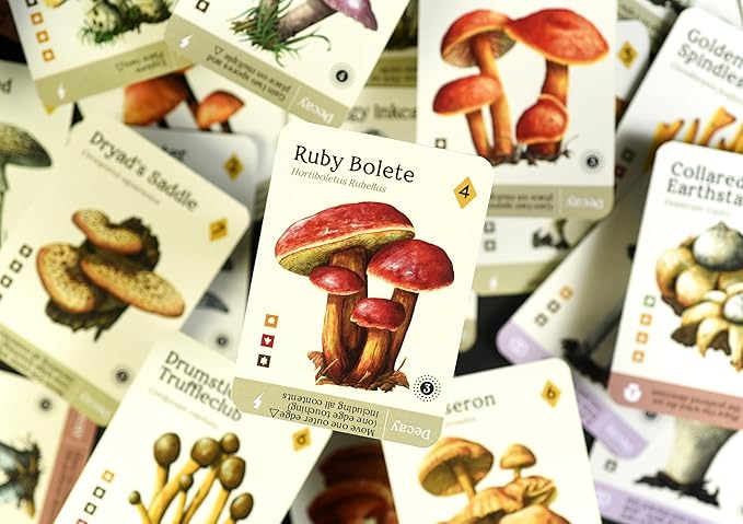 Mycelia by KTBG – Tile Placement & Pattern Matching Board Game – Solo or Multiplayer Gameplay – Grow a Fungi and Mushroom Kingdom – Ages 14+, 1 to 4 Players, 50 Min Playtime