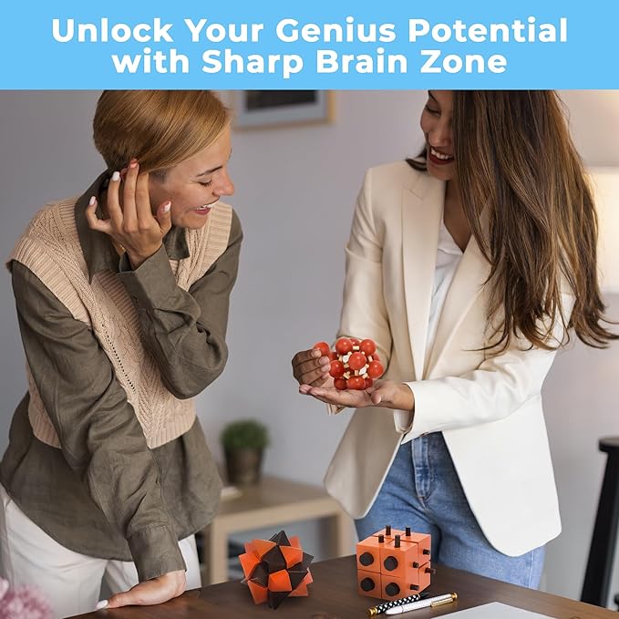 Sharp Brain Zone Teaser Puzzle 3Pcs