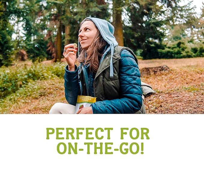 Nature’s Turn Freeze-Dried Fruit Snacks, Strawberry Crisps, Pack of 24 (0.35 oz Each)