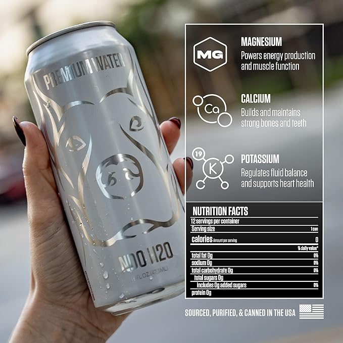 NDO H2O Premium Alkaline Water Case - 12 Pack (16 fl oz, Still) | Reverse Osmosis Purified Canned Water | Tested for Over 400 Impurities | pH 8.1 Balanced | Electrolytes & Minerals