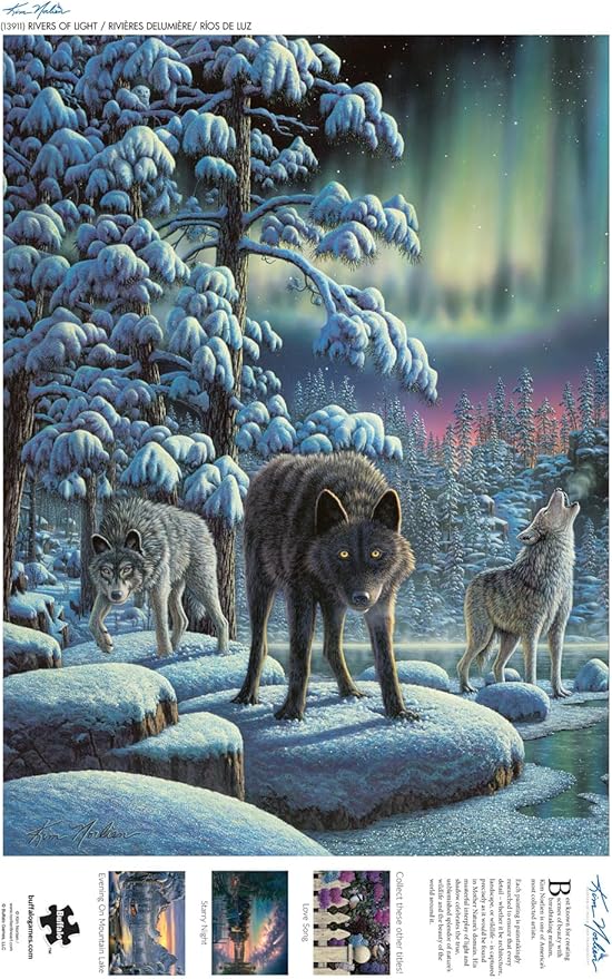 Buffalo Games - Kim Norlien - Rivers of Light - 1000 Piece Jigsaw Puzzle for Adults - Challenging Puzzle Perfect for Game Nights - Finished Size is 26.75 x 19.75