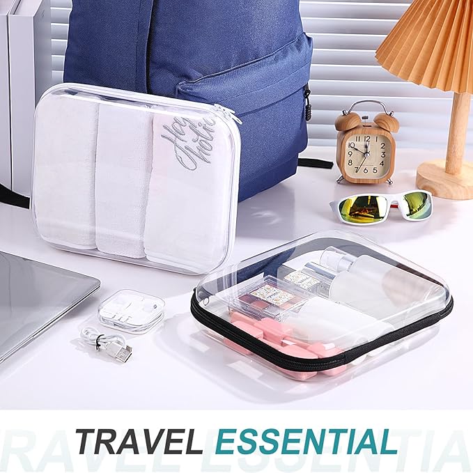 Hoolerry 4 Pcs Hard Clear Zipper Case Transparent Cases for Snacks Makeup Bag Plastic Storage Box Containers for Building Blocks, Puzzles, Cosmetics(Black and White,9.8 x 7.9 x 2 in)